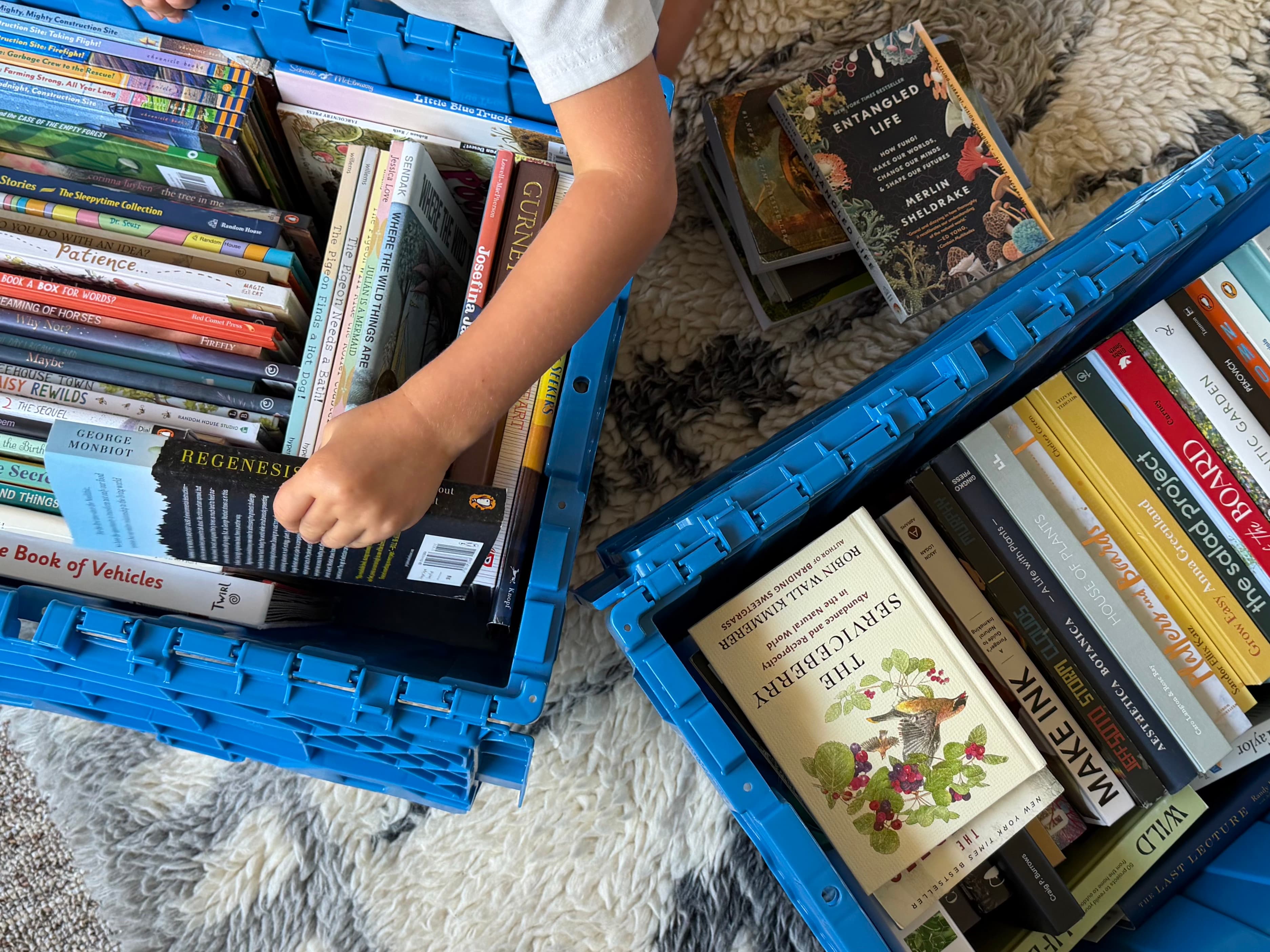 Books packed in an open tote